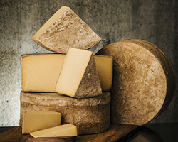 cheese